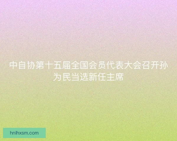中自协第十五届全国会员代表大会召开孙为民当选新任主席